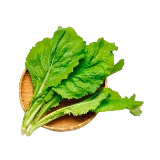 Vegetable